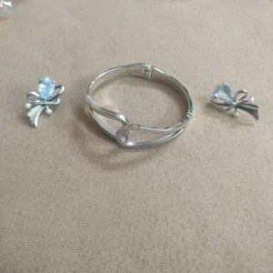 Silver Coloured Stoned Earrings With Bangle