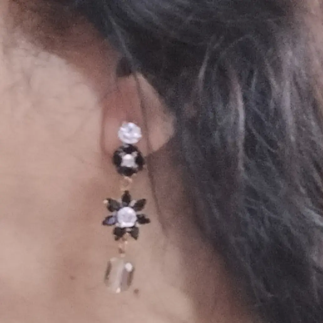 Stone Setting Long Gorgeous Earrings