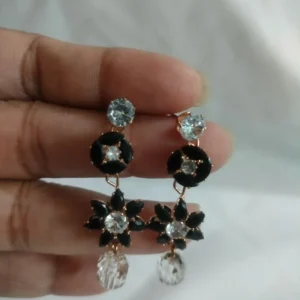 Stone Setting Long Gorgeous Earrings